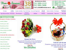 Tablet Screenshot of florasavassi.com.br